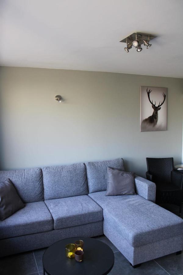 Apartment Terrasses De Triplex 224 Le Cerf Blanc *